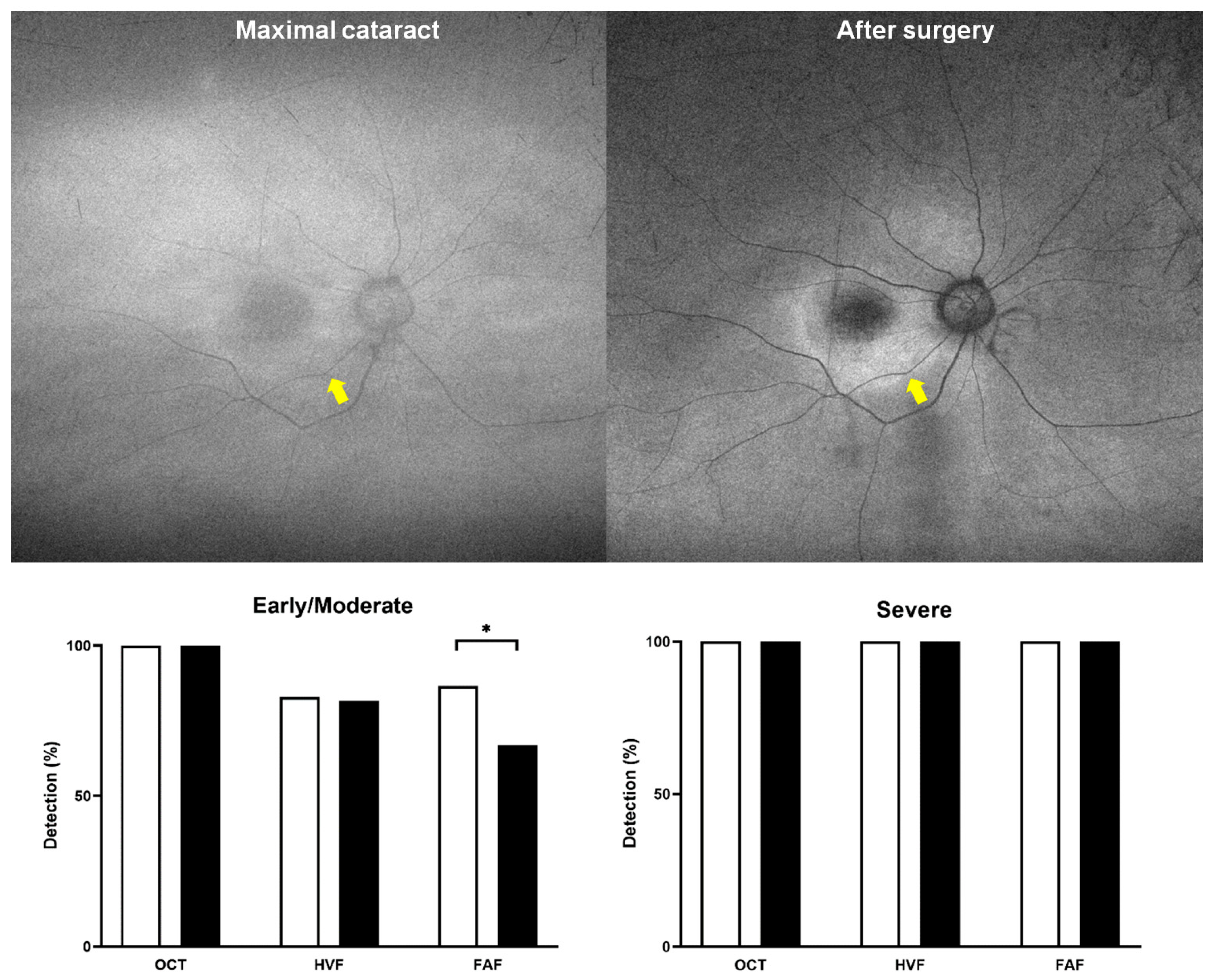 Diagnostics 15 02736 g004