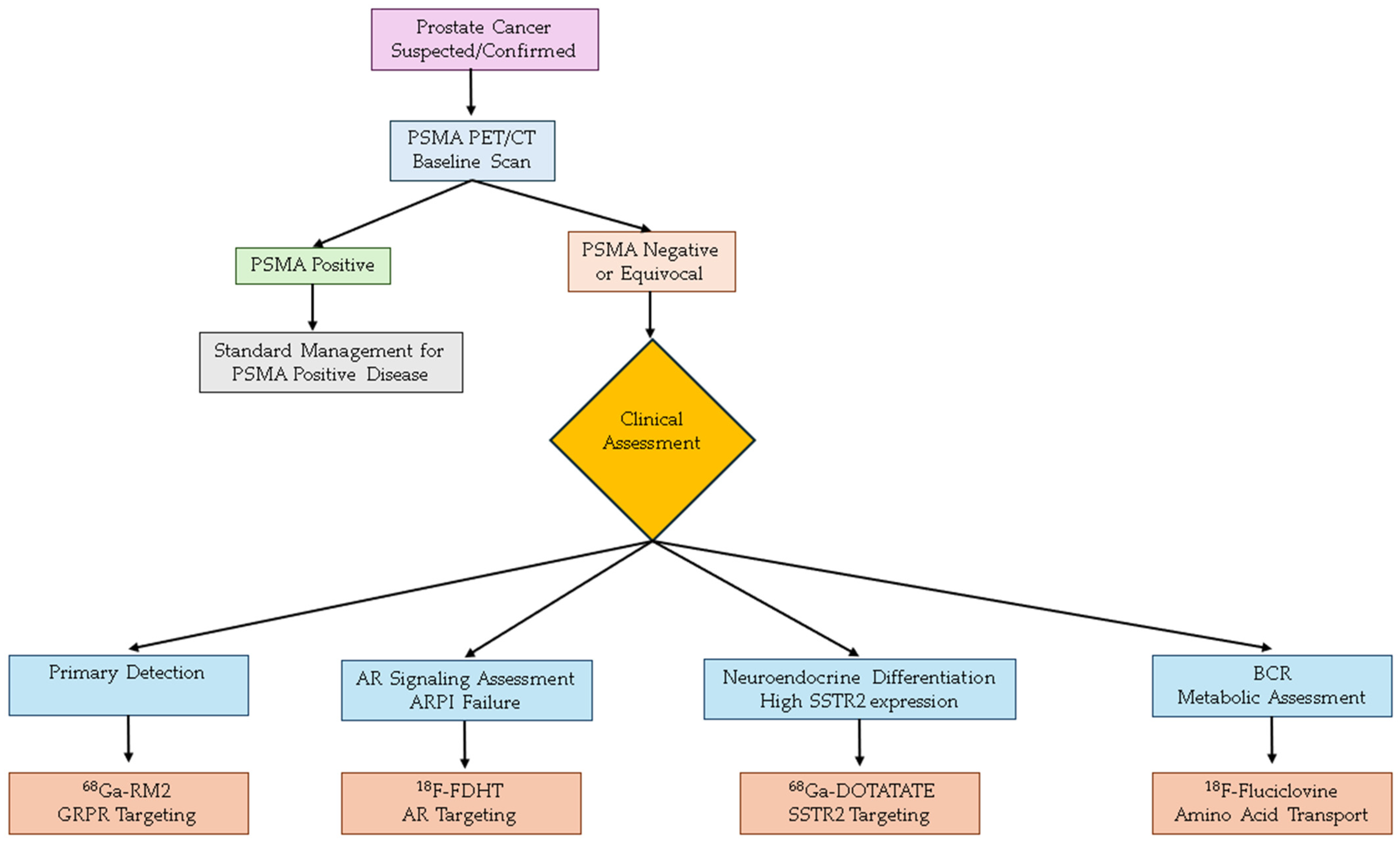 Diagnostics 15 02737 g001