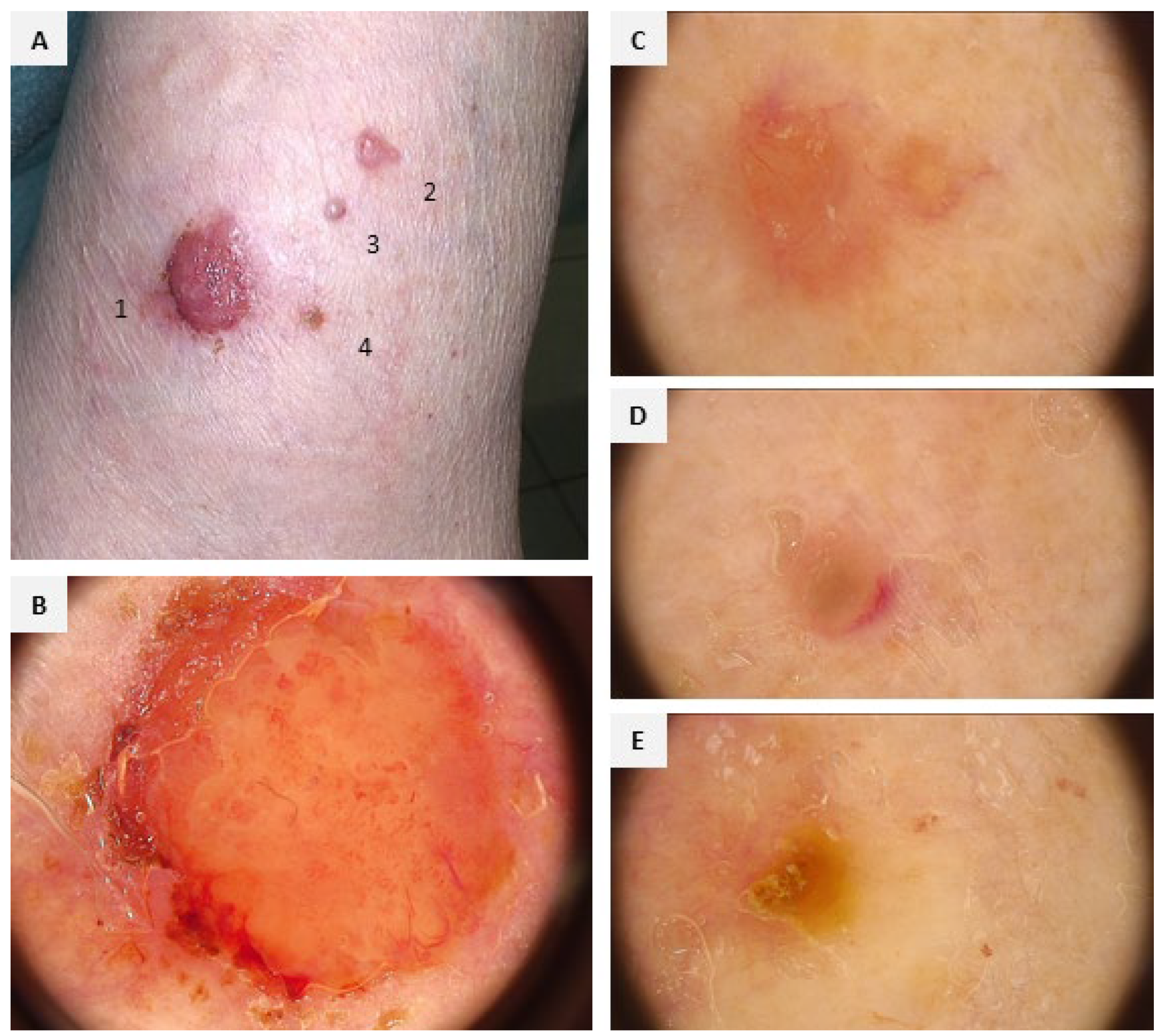 Diagnostics 15 02739 g001 Diagnostics 15 02739 g001