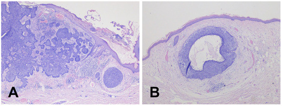 Diagnostics 15 02739 g002