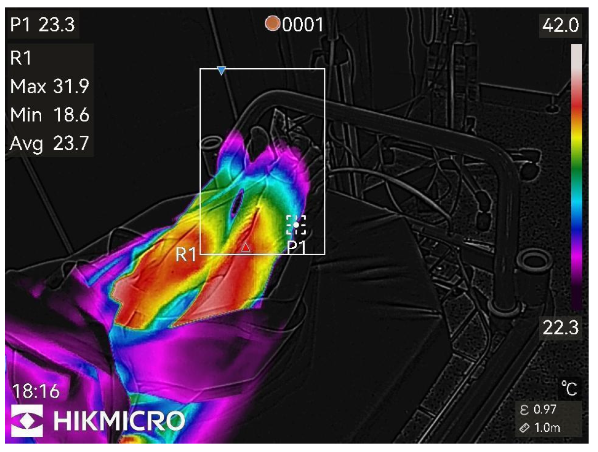Diagnostics 15 02743 g001