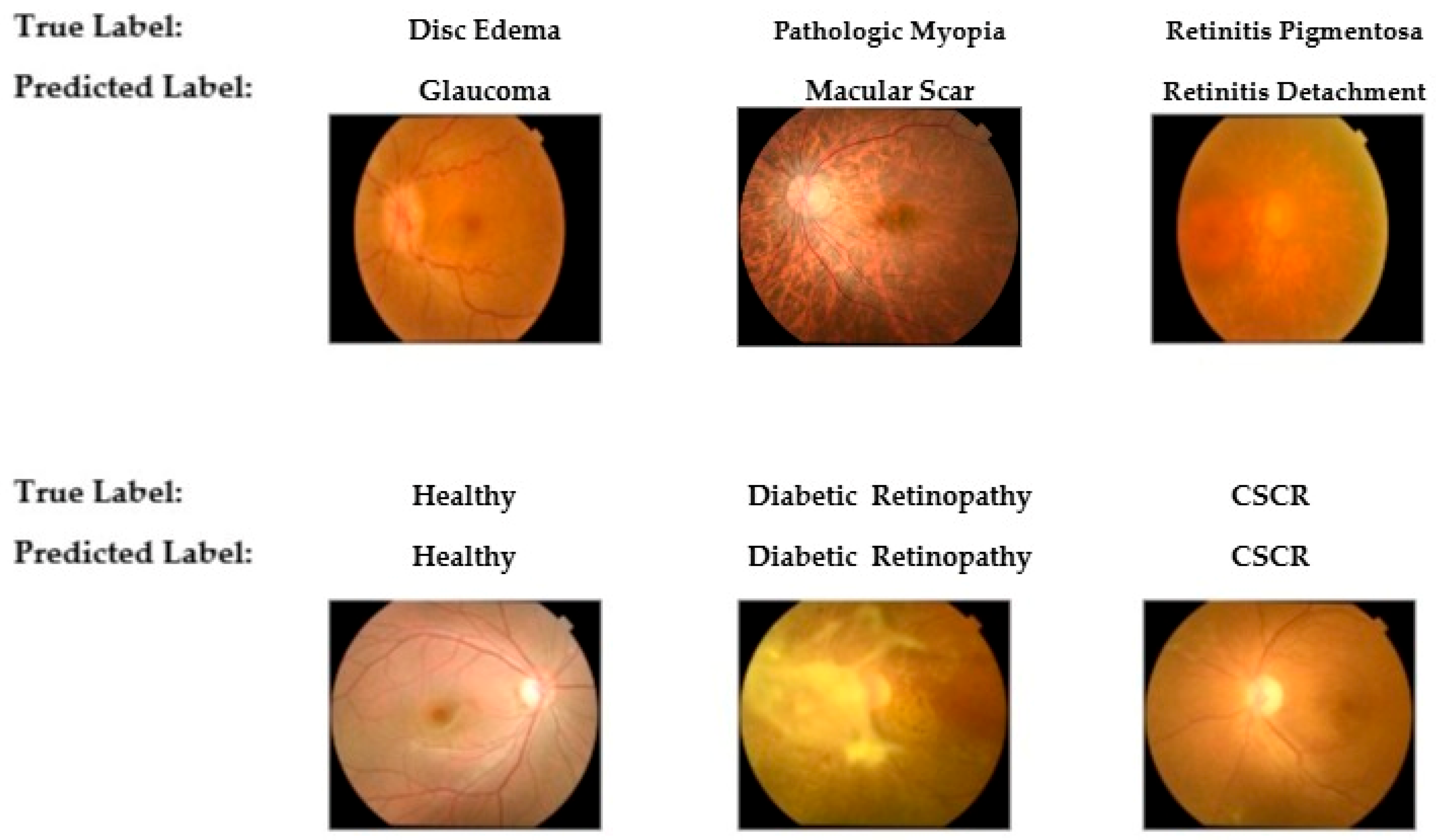 Diagnostics 15 02745 g009
