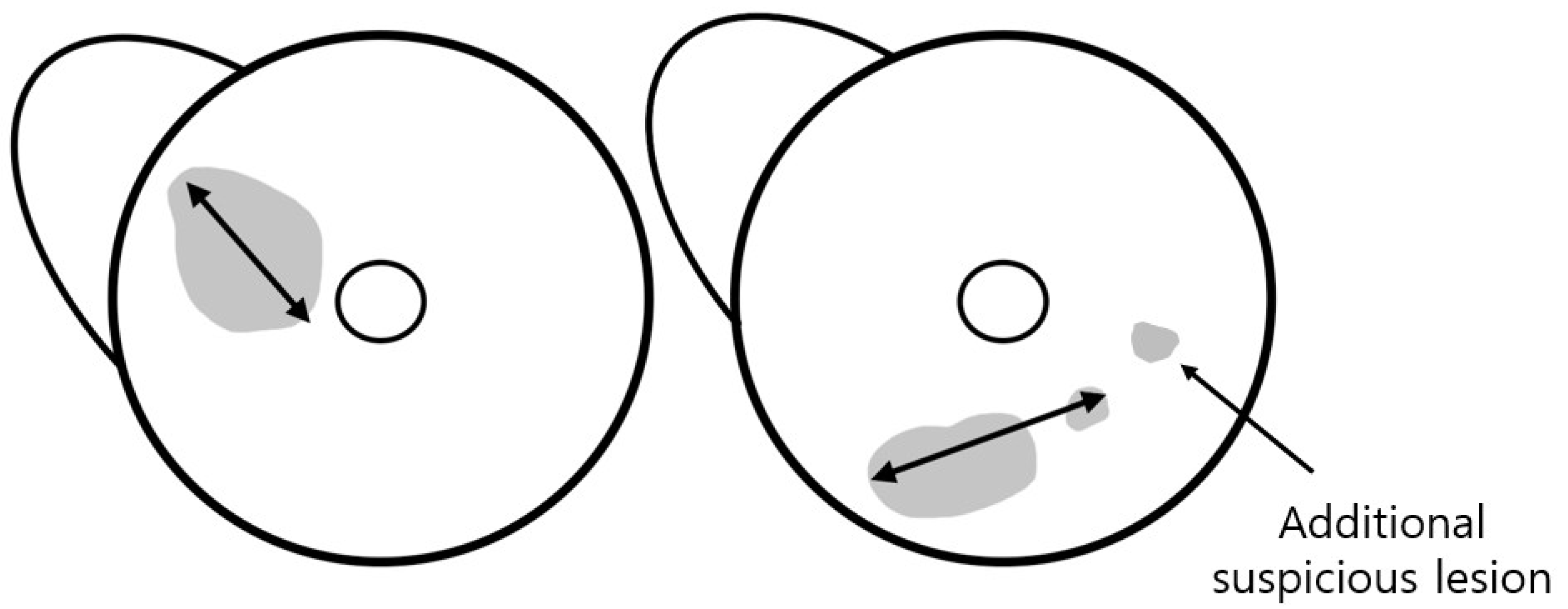 Diagnostics 15 02749 g002 Diagnostics 15 02749 g002