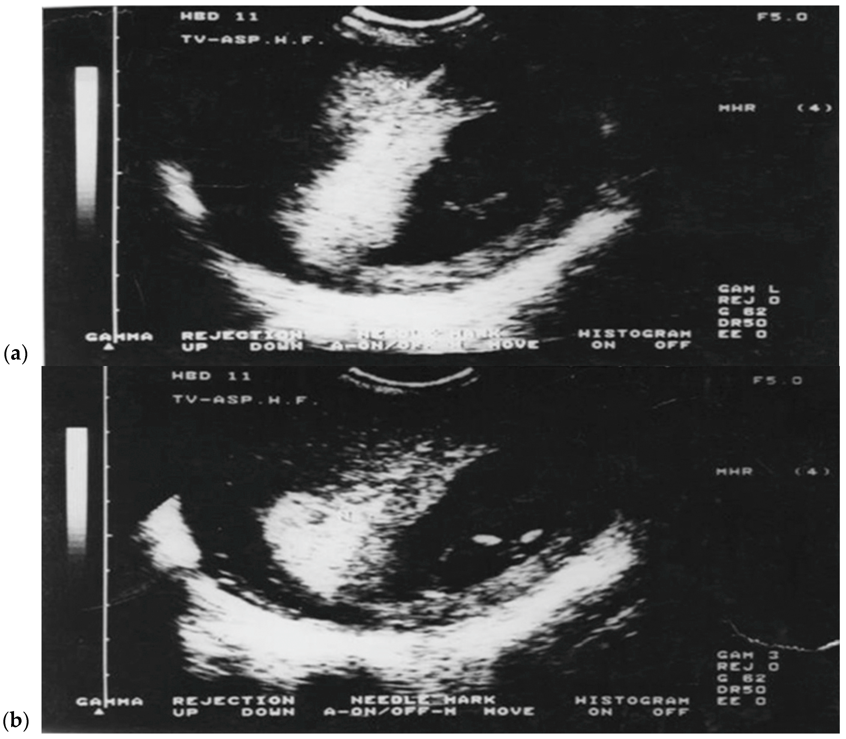 Diagnostics 15 02750 g001 Diagnostics 15 02750 g001