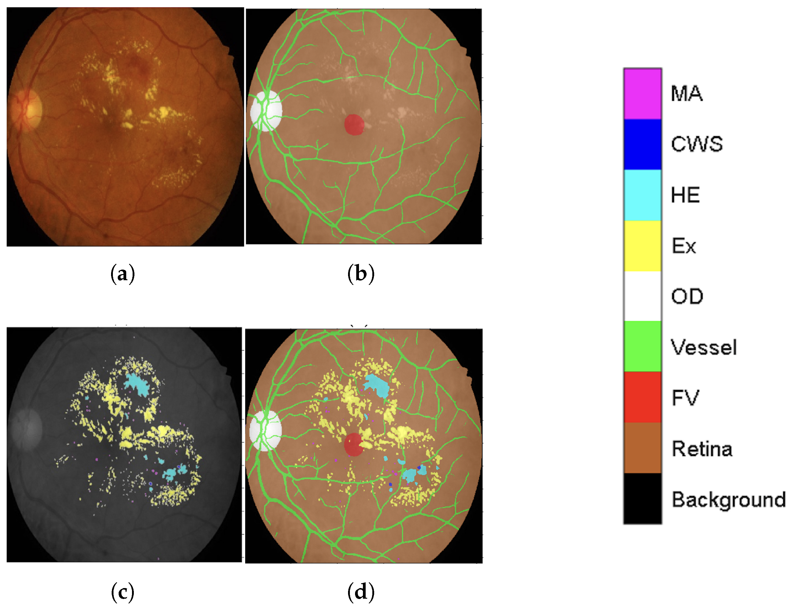Diagnostics 15 02762 g002
