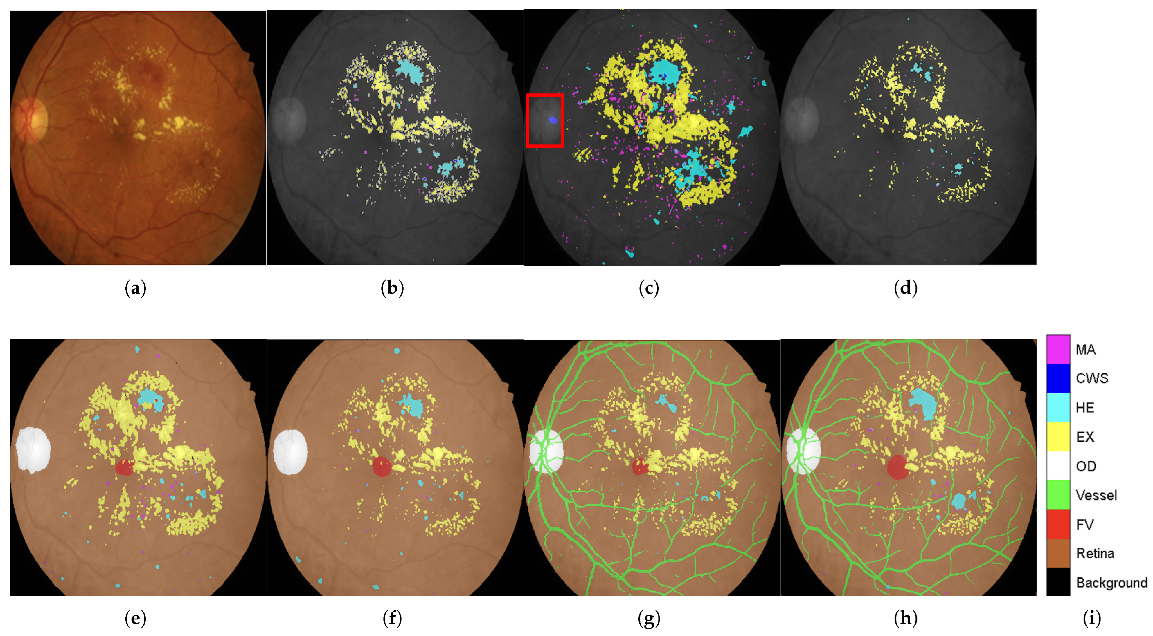 Diagnostics 15 02762 g006