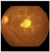 Diagnostics 15 02762 i001 Diagnostics 15 02762 i001