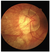 Diagnostics 15 02762 i002 Diagnostics 15 02762 i002