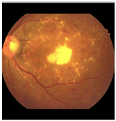 Diagnostics 15 02762 i003 Diagnostics 15 02762 i003