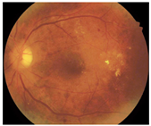 Diagnostics 15 02762 i009 Diagnostics 15 02762 i009