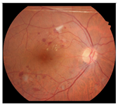 Diagnostics 15 02762 i010 Diagnostics 15 02762 i010