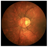 Diagnostics 15 02762 i011 Diagnostics 15 02762 i011