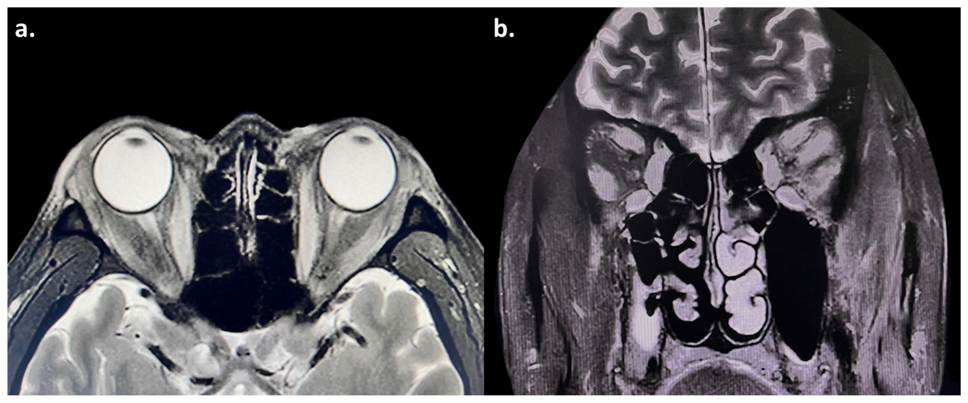 Diagnostics 15 02764 g002