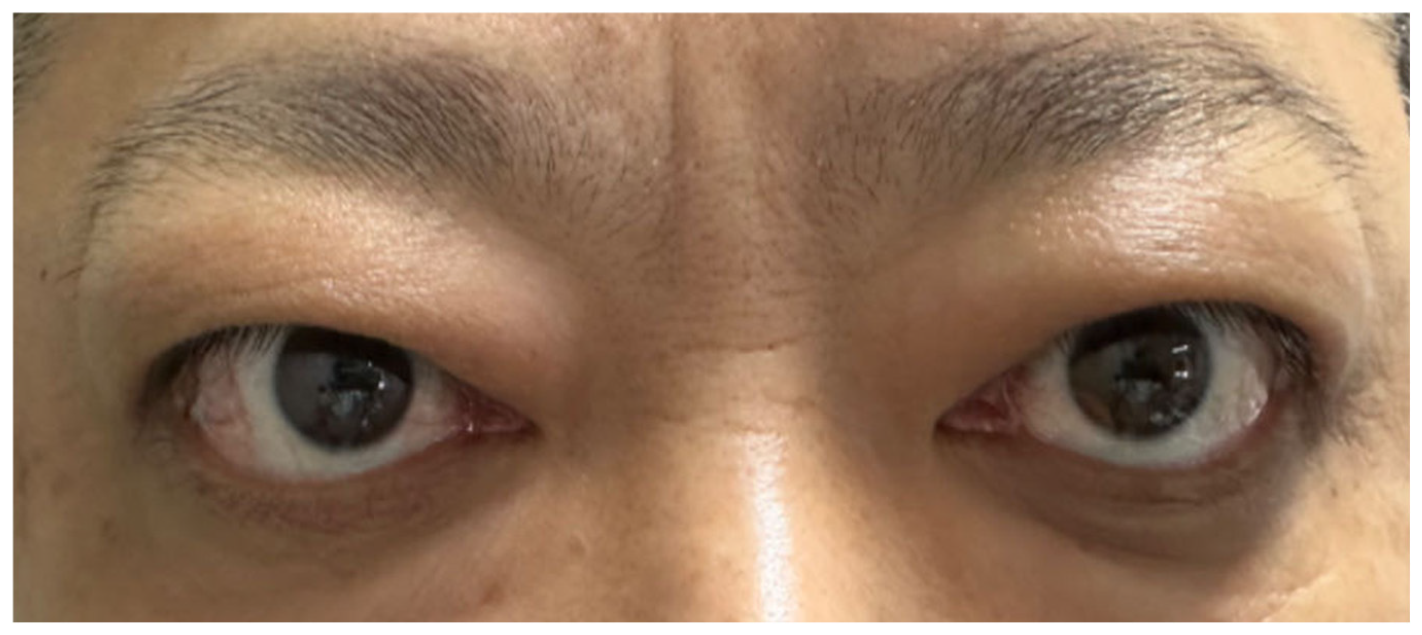 Diagnostics 15 02764 g004