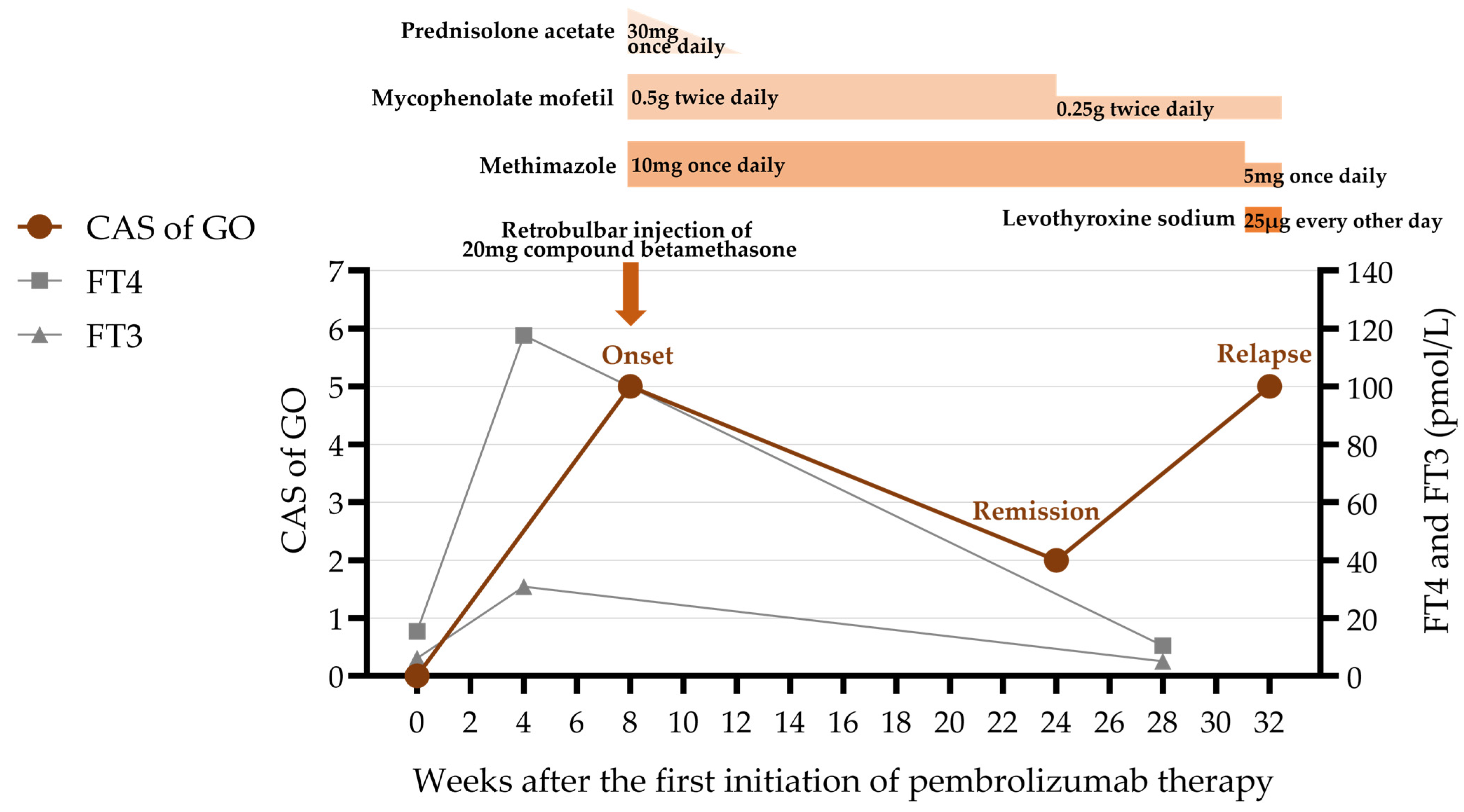 Diagnostics 15 02764 g005