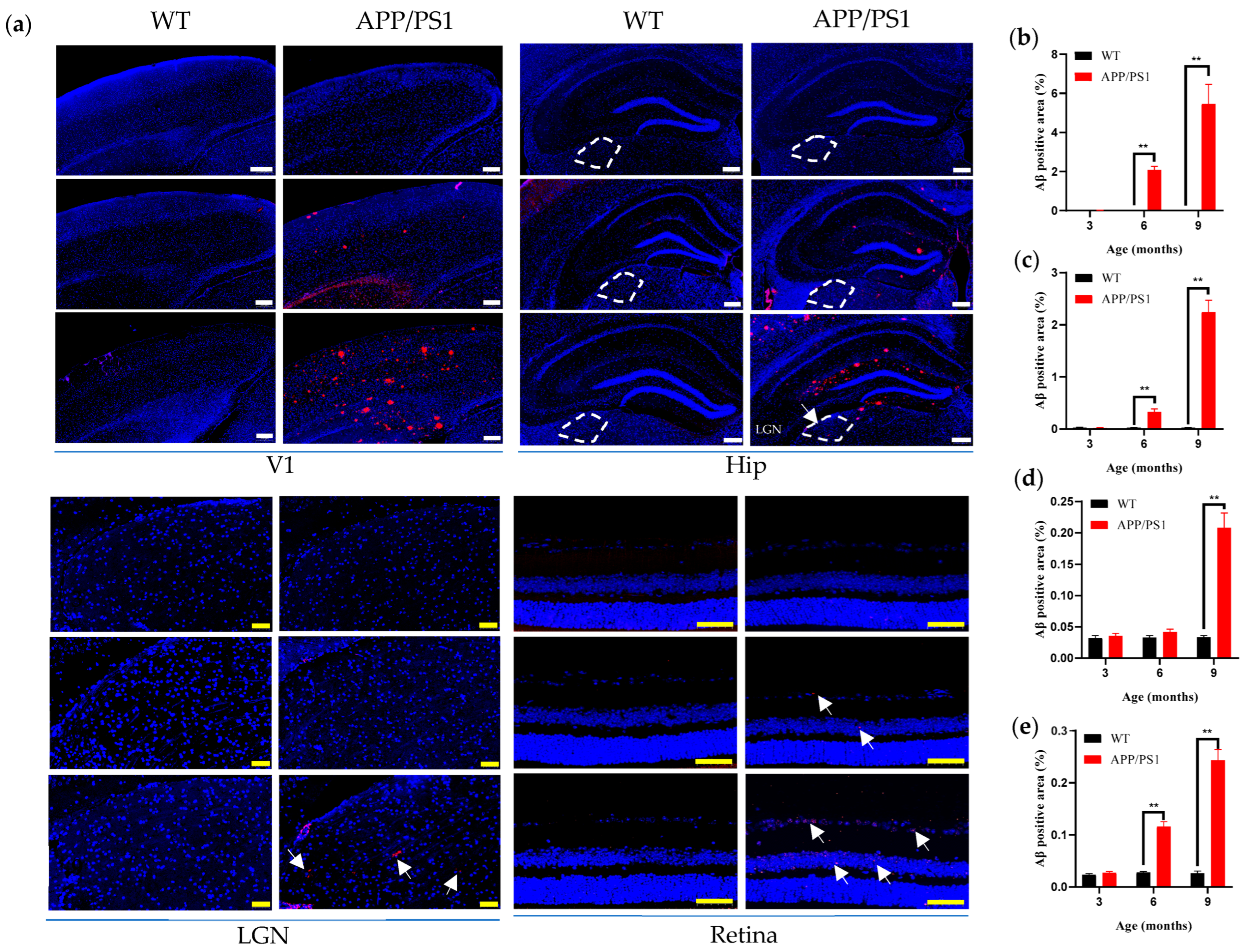 Diagnostics 15 02768 g002