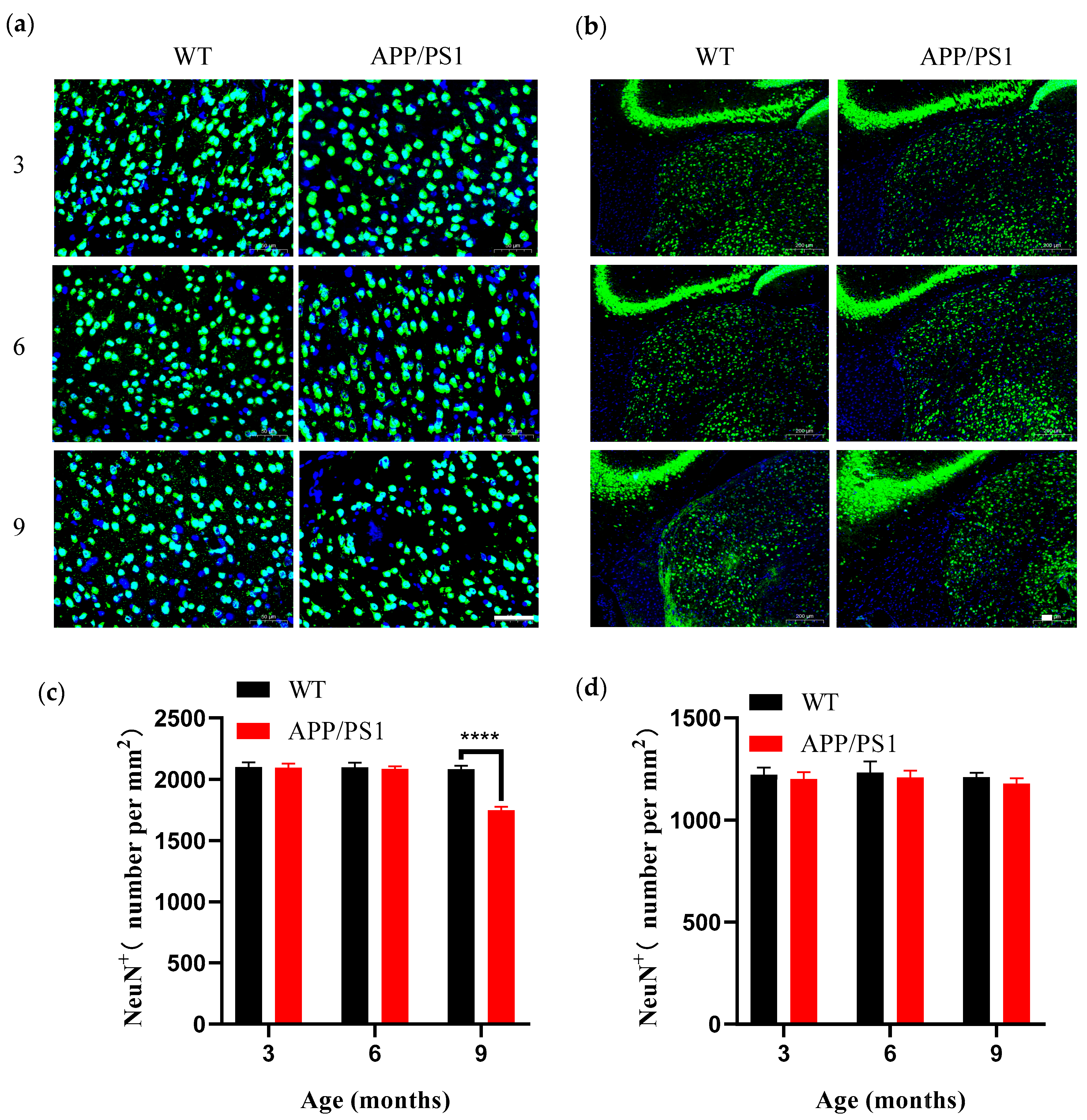 Diagnostics 15 02768 g006