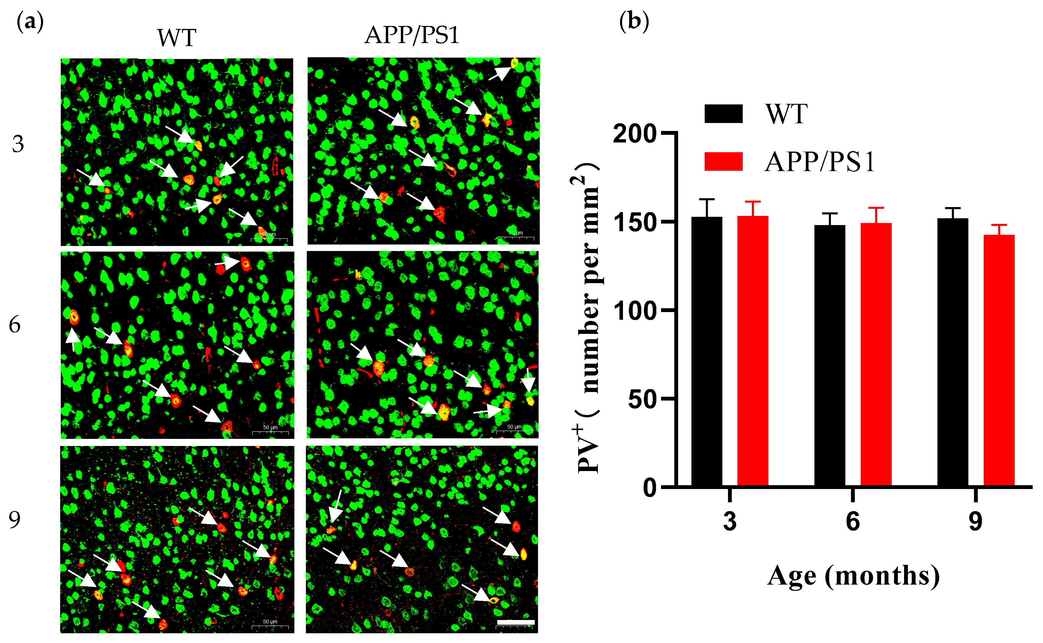 Diagnostics 15 02768 g007