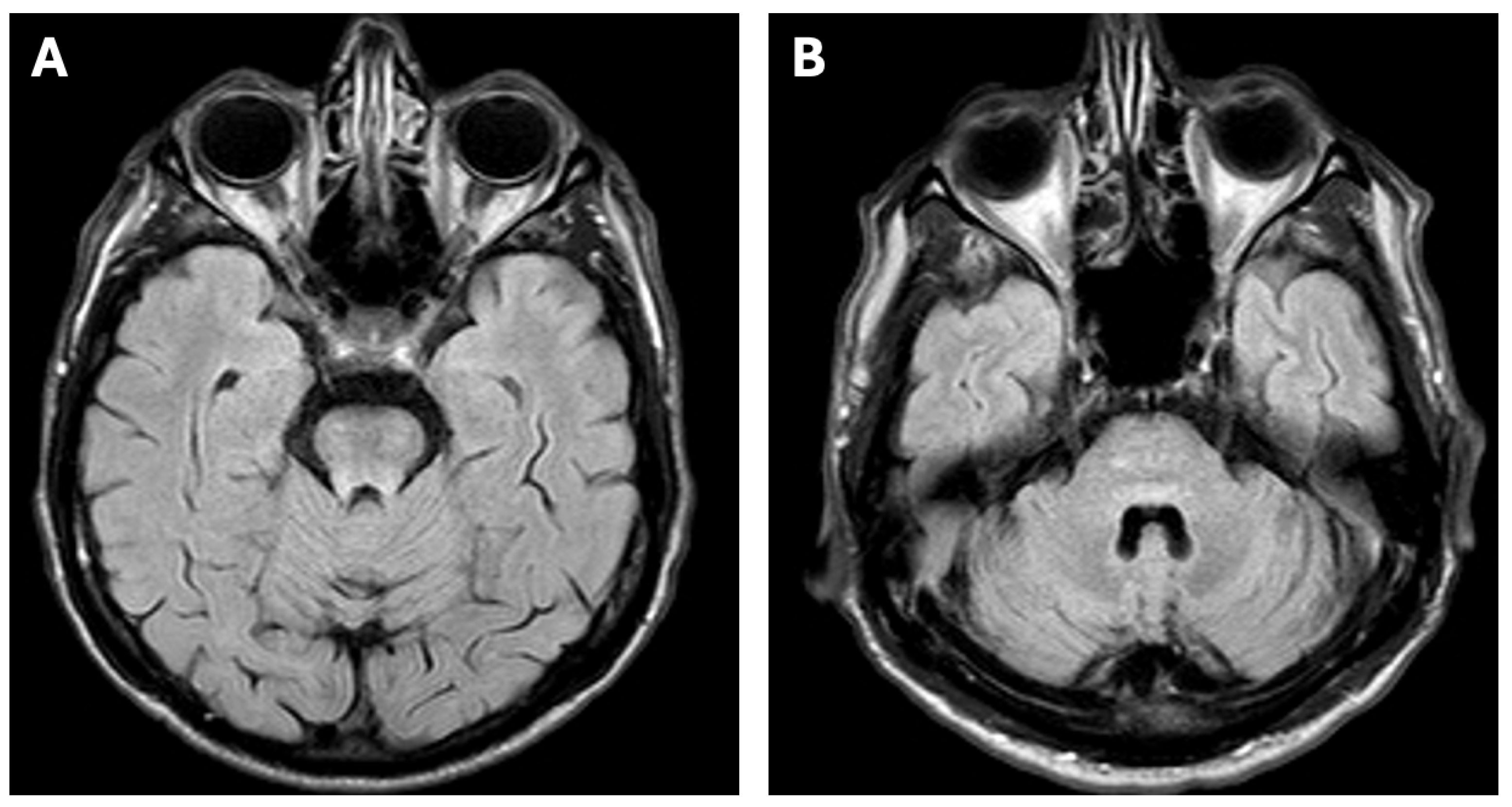 Diagnostics 15 02771 g002
