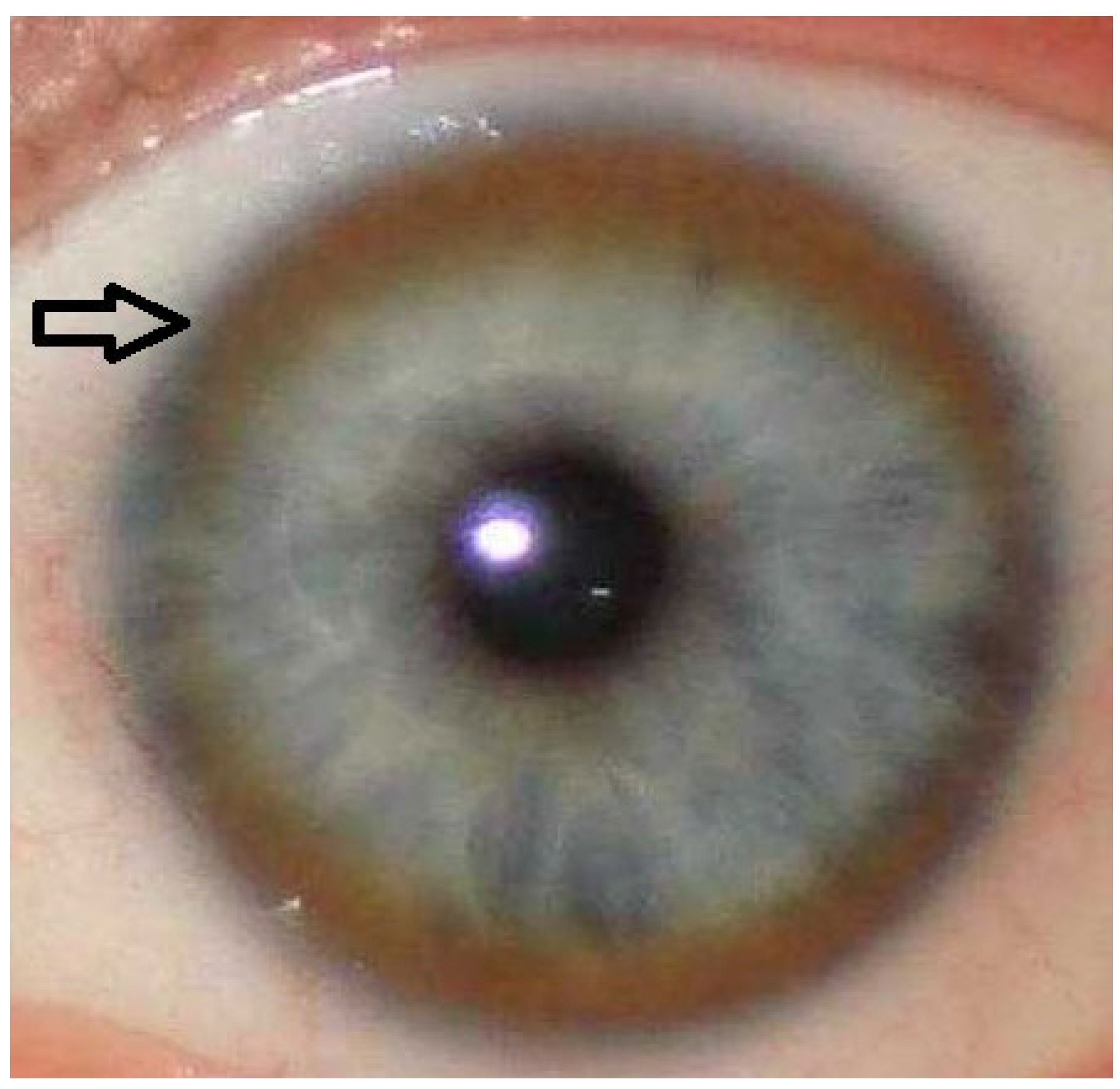 Diagnostics 15 02771 g004