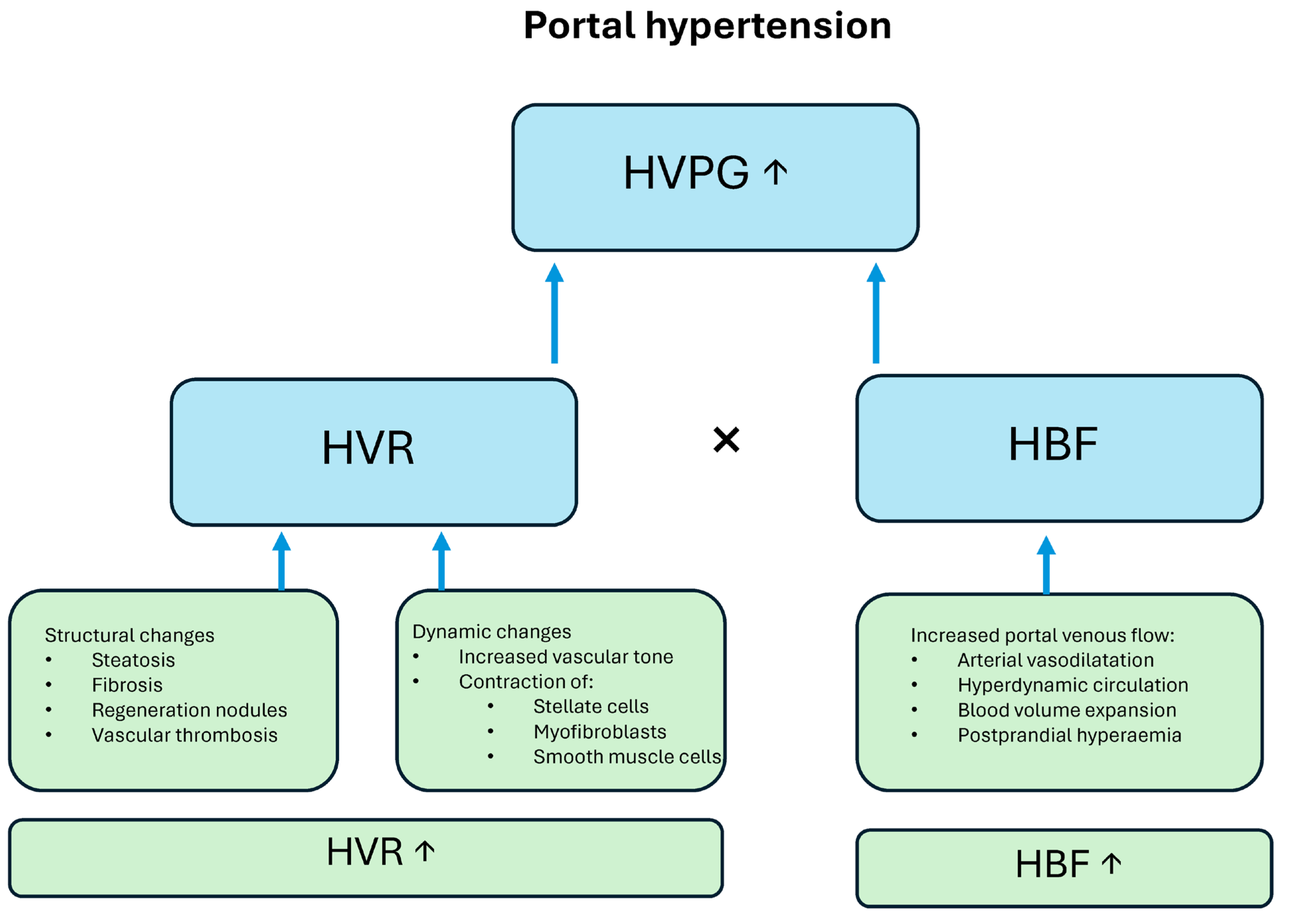 Diagnostics 15 02774 g001 Diagnostics 15 02774 g001