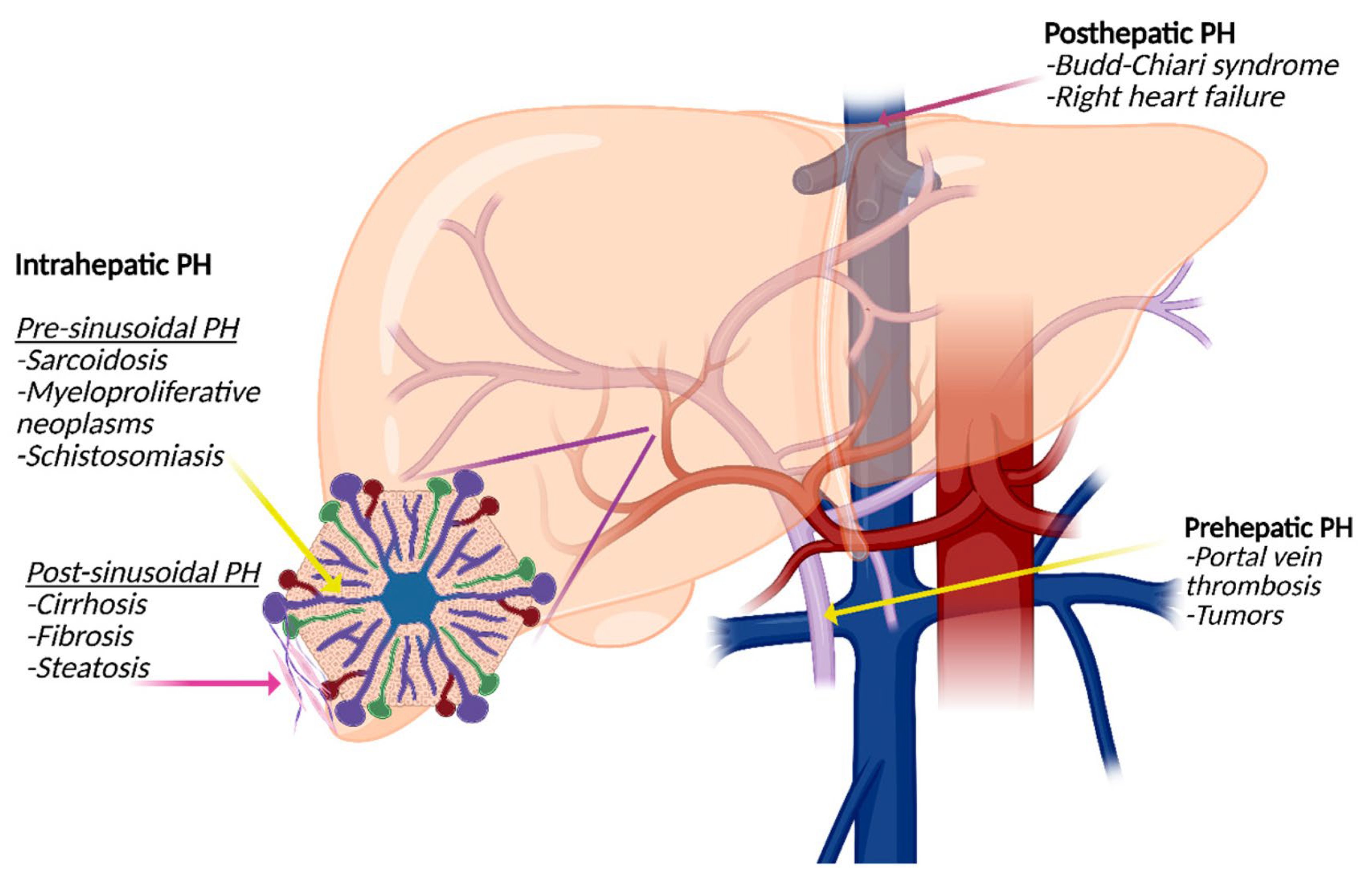 Diagnostics 15 02774 g002 Diagnostics 15 02774 g002