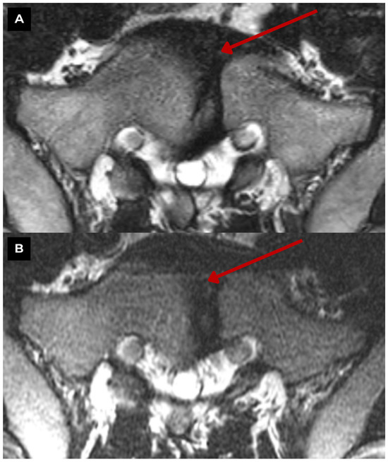 Diagnostics 15 02775 g003
