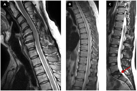 Diagnostics 15 02775 g004