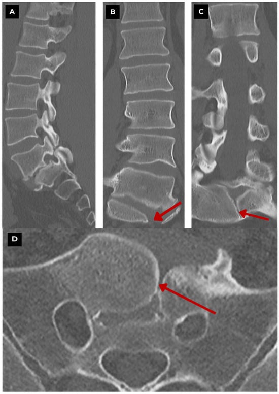 Diagnostics 15 02775 g005
