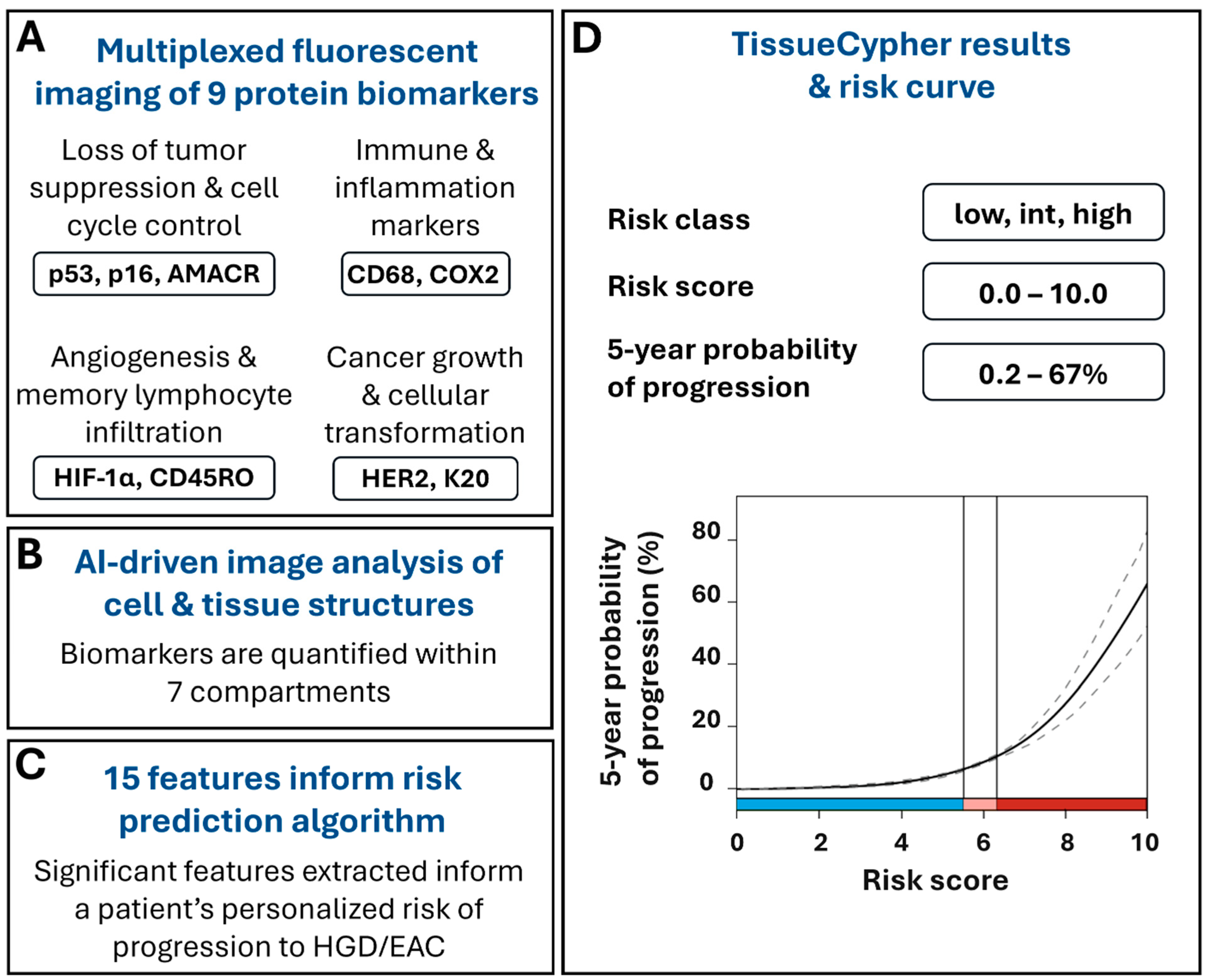 Diagnostics 15 02776 g001 Diagnostics 15 02776 g001