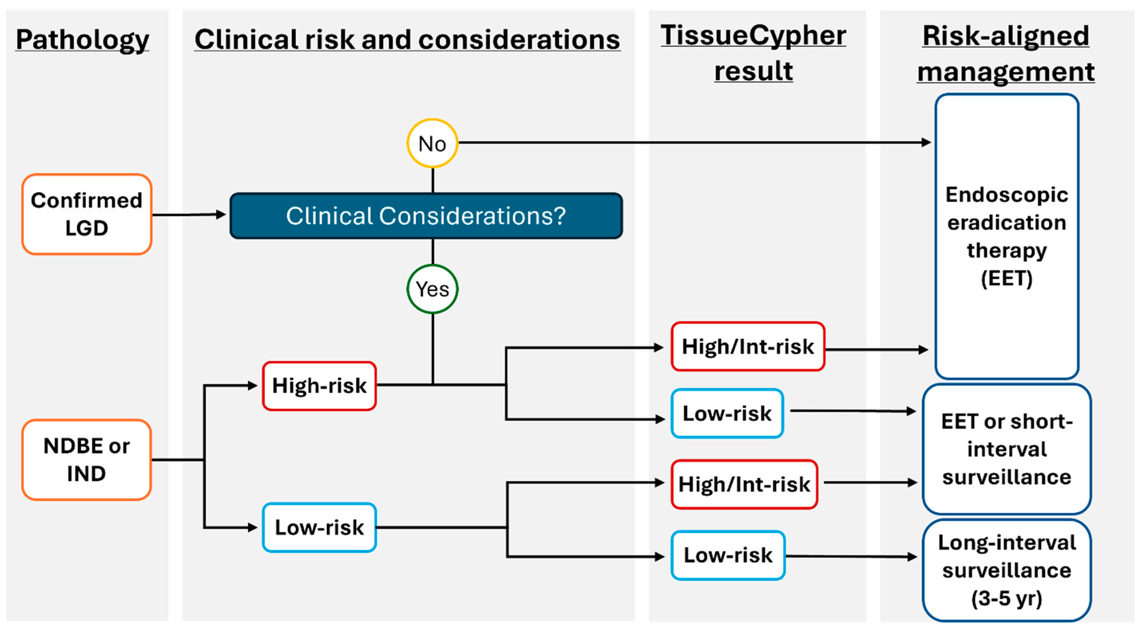 Diagnostics 15 02776 g002 Diagnostics 15 02776 g002