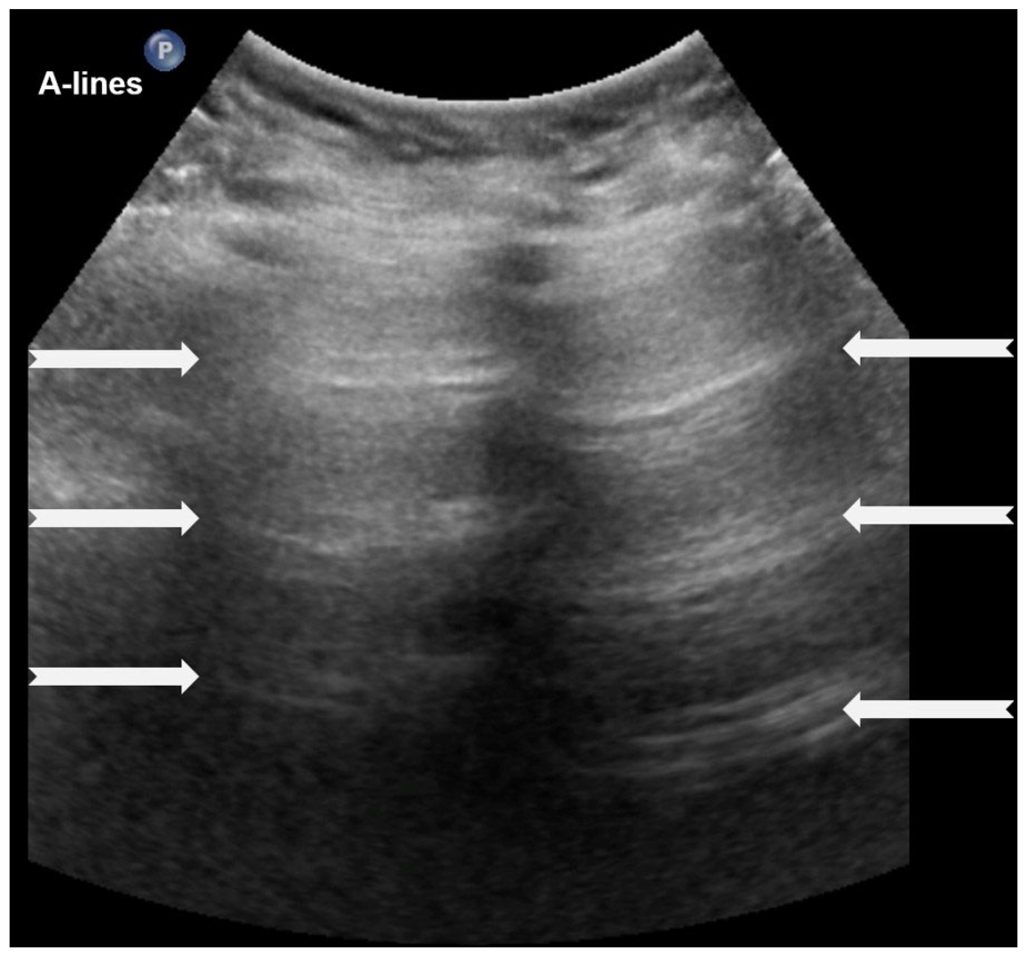 Diagnostics 15 02782 g001 Diagnostics 15 02782 g001