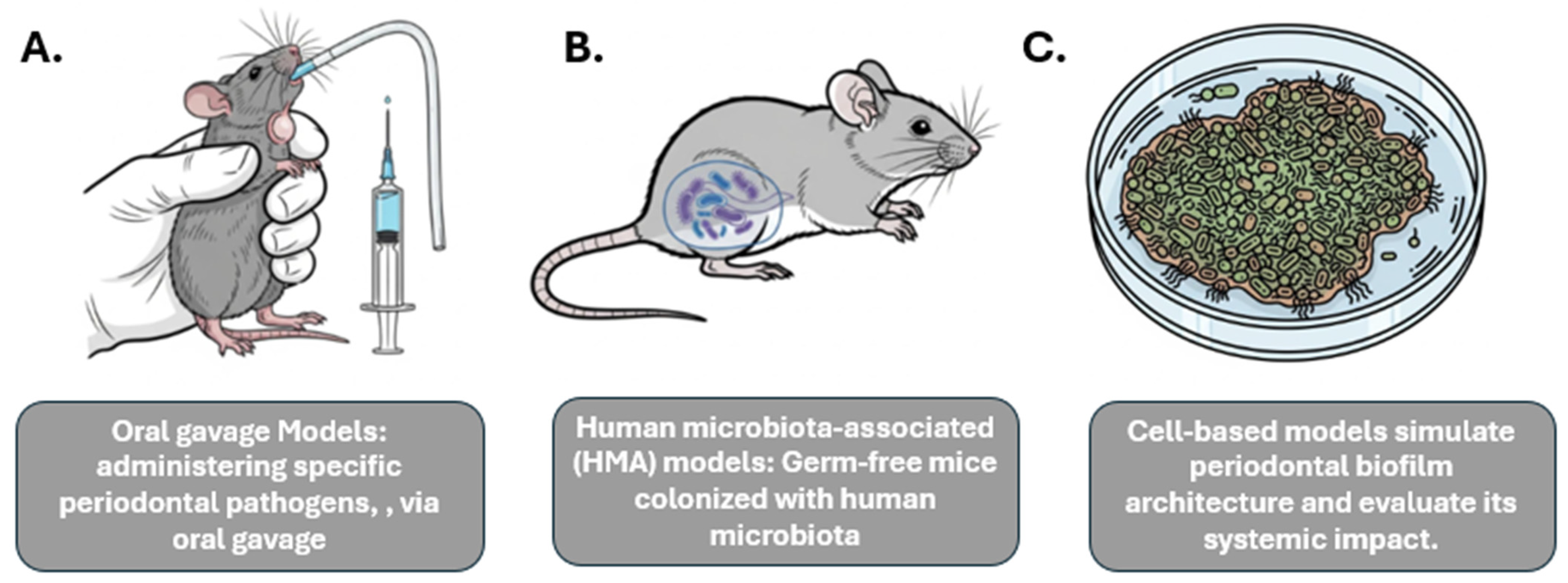 Diagnostics 15 02784 g001