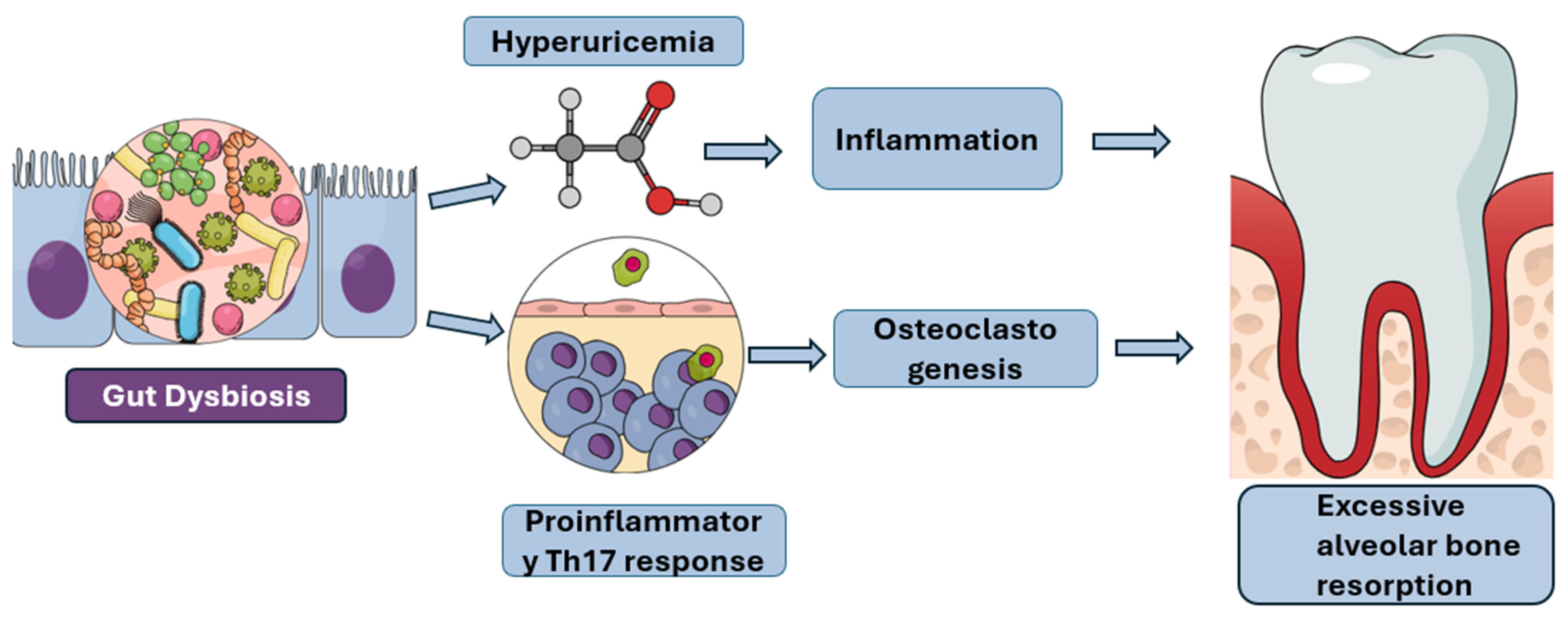 Diagnostics 15 02784 g002