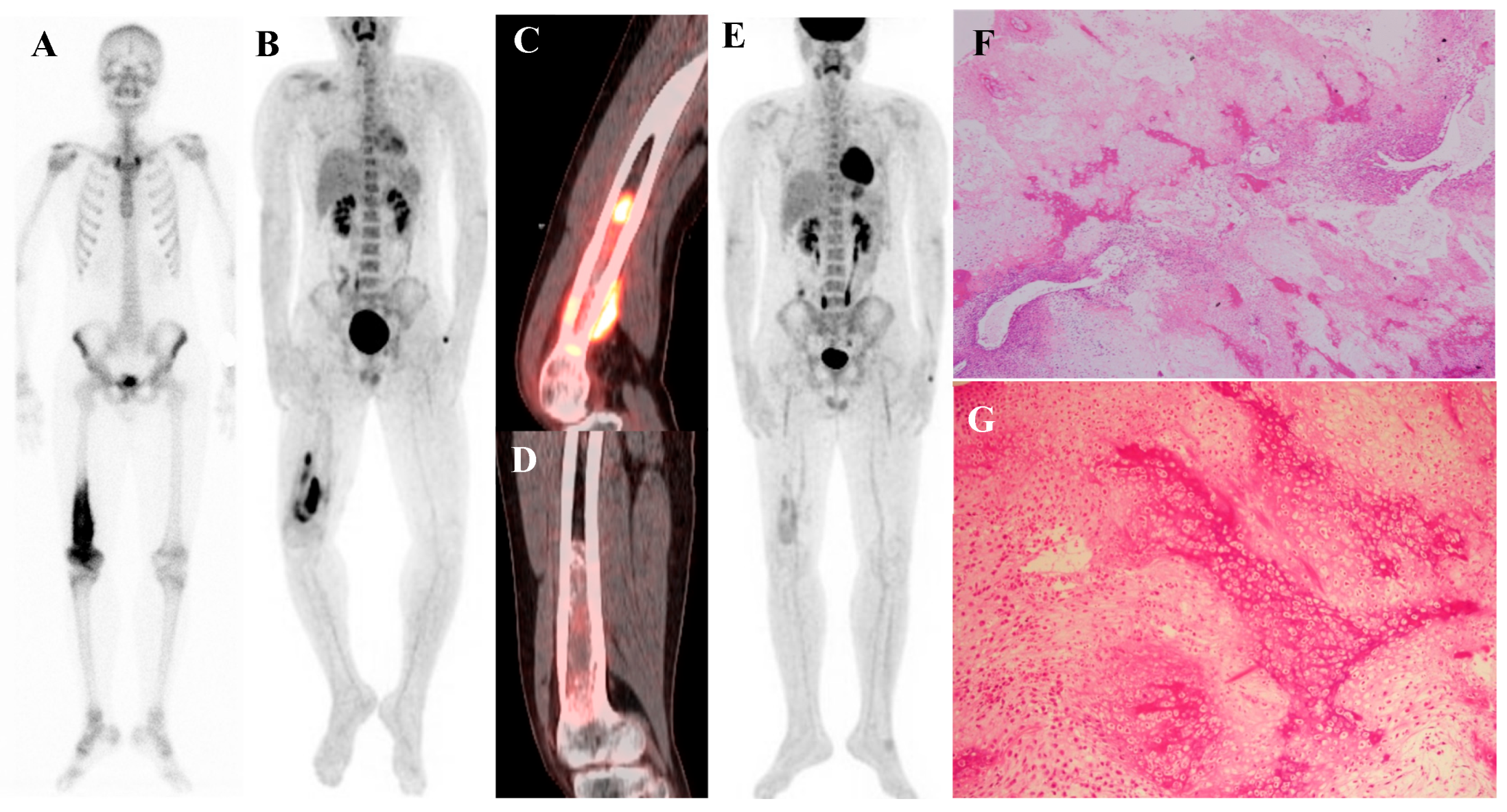 Diagnostics 15 02786 g001