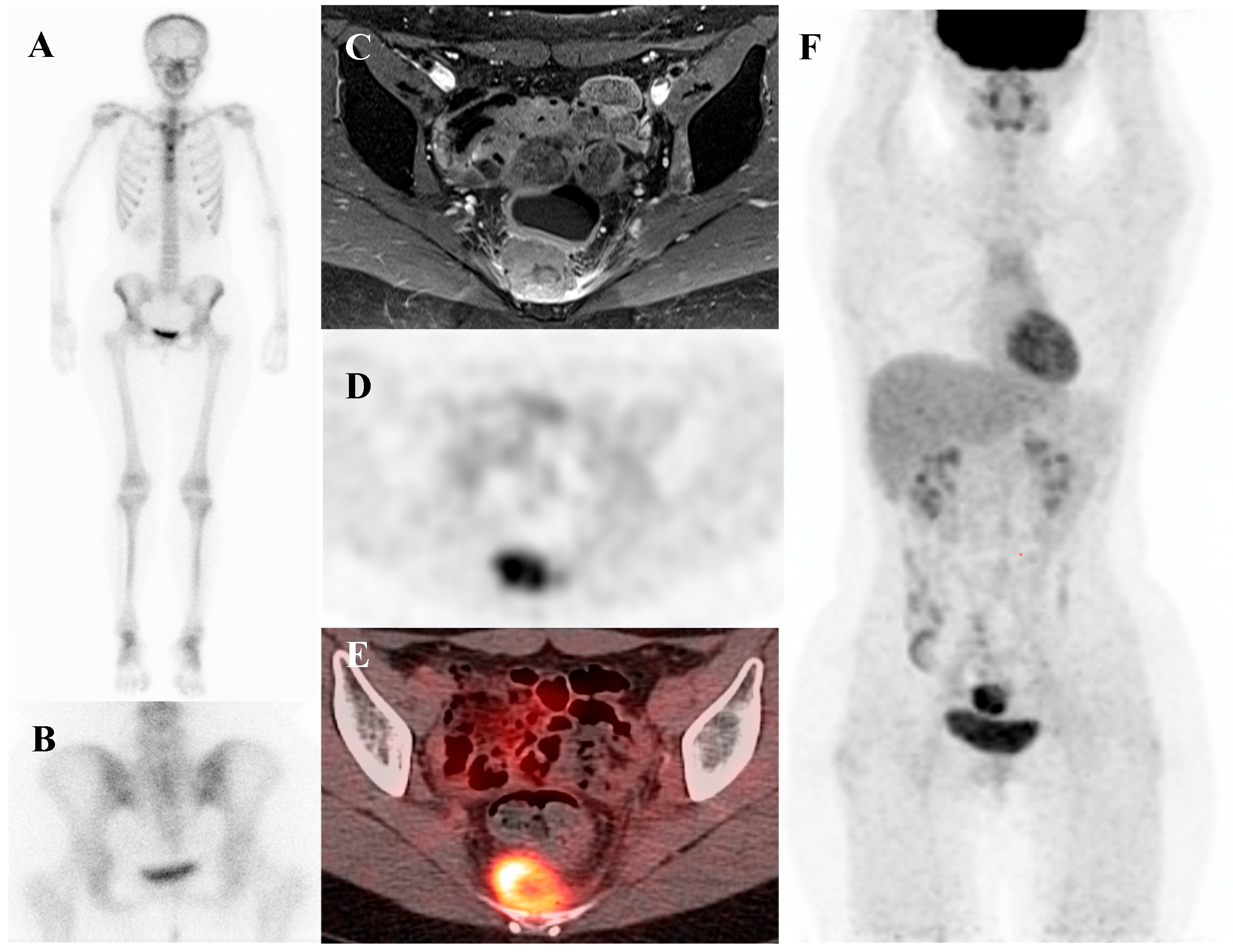 Diagnostics 15 02786 g002