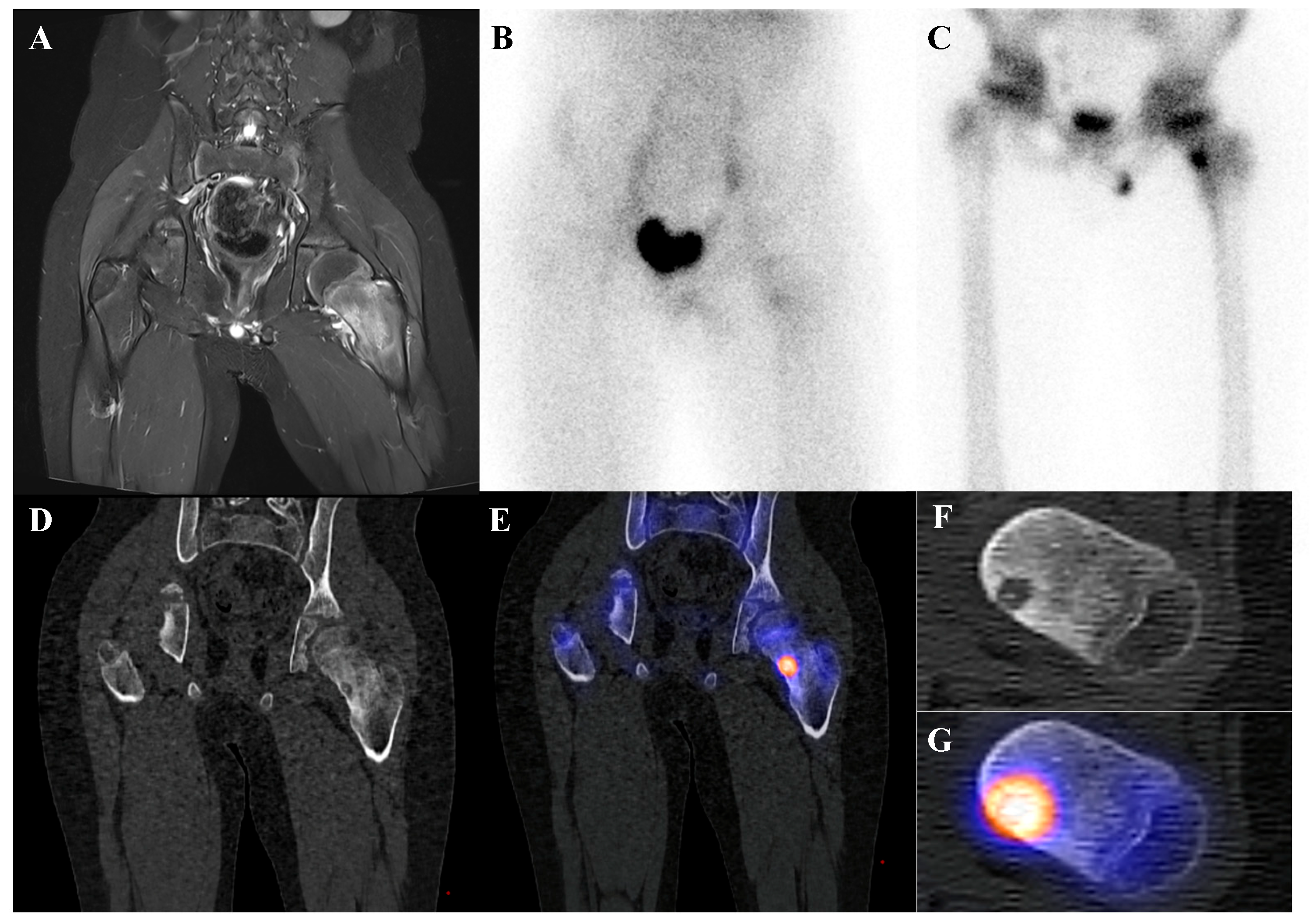 Diagnostics 15 02786 g004