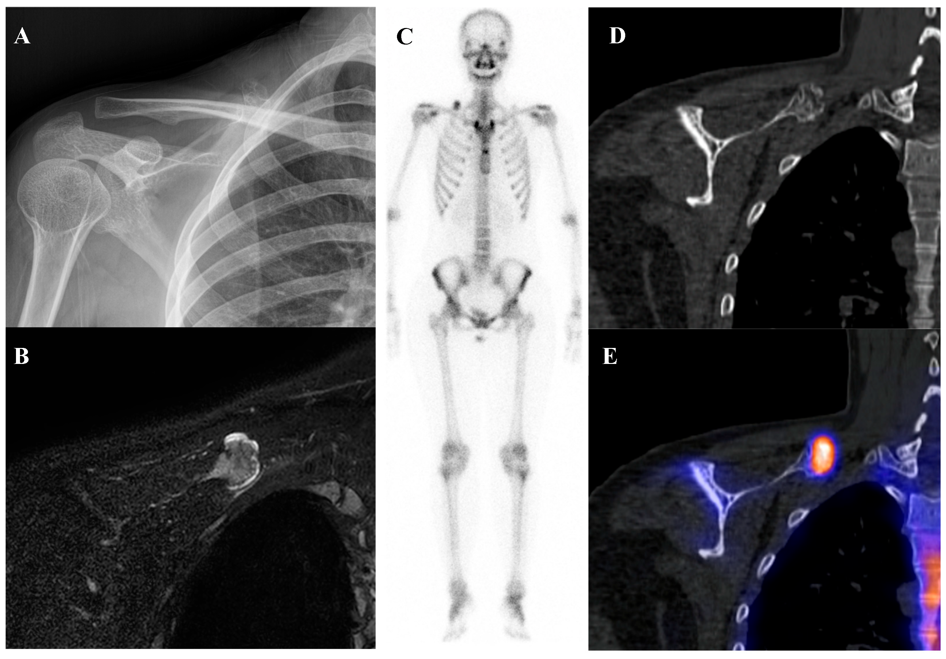 Diagnostics 15 02786 g006