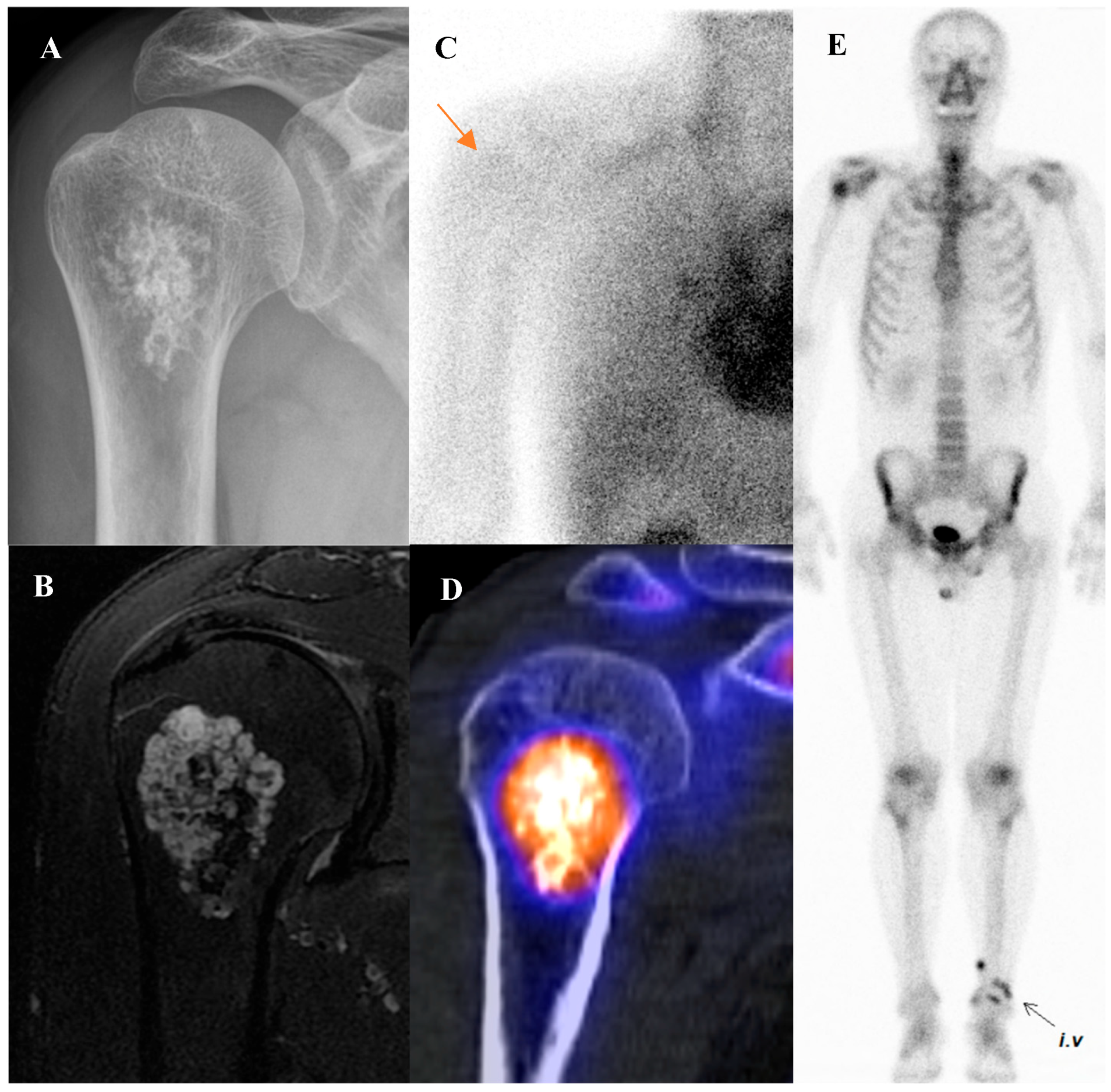 Diagnostics 15 02786 g008