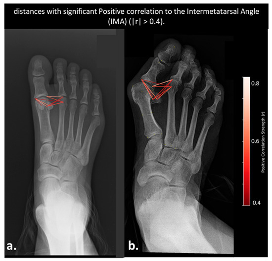Diagnostics 15 02791 g006