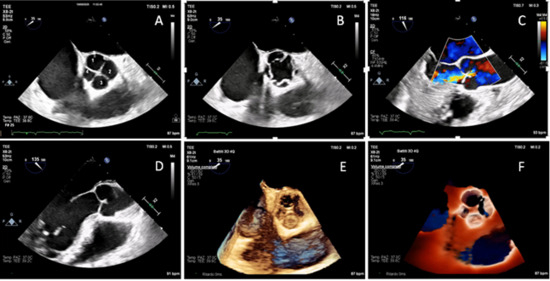 Diagnostics 15 02792 g001