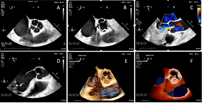 Diagnostics 15 02792 g001