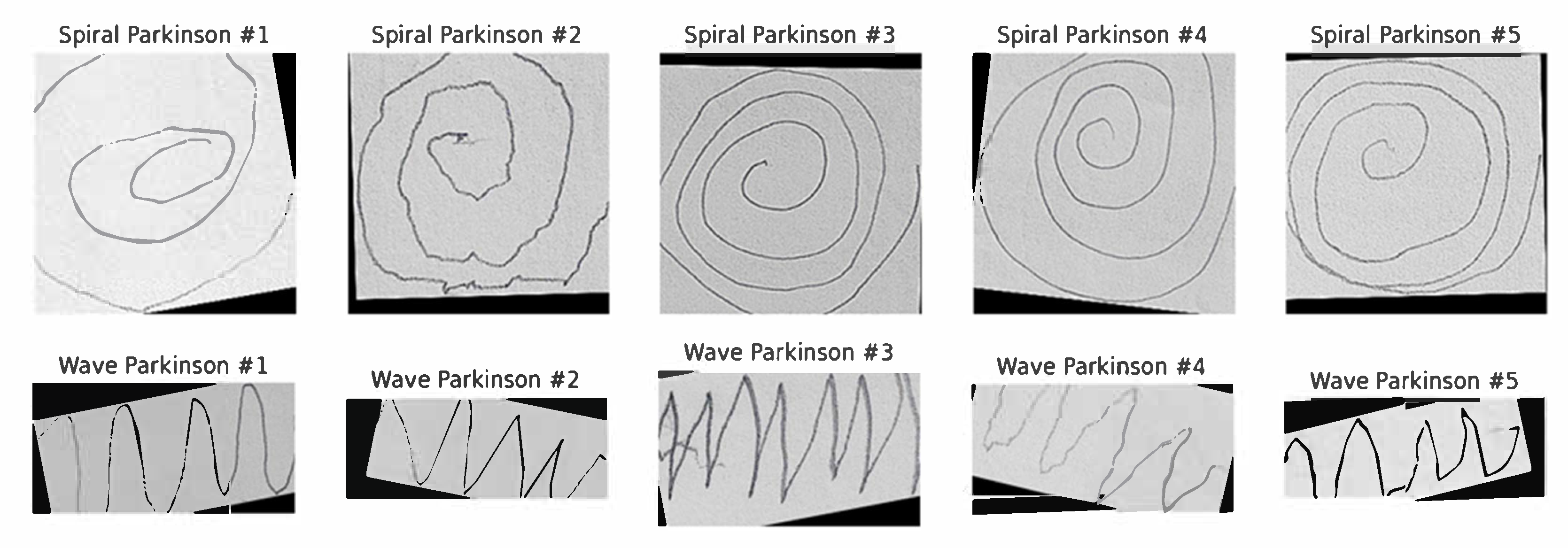 Diagnostics 15 02795 g002