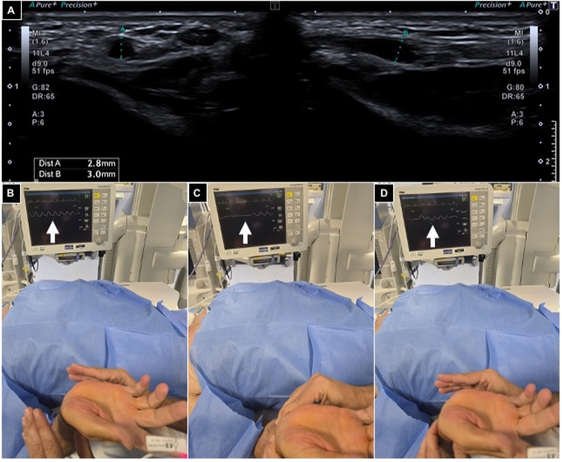 Diagnostics 15 02796 g002 Diagnostics 15 02796 g002