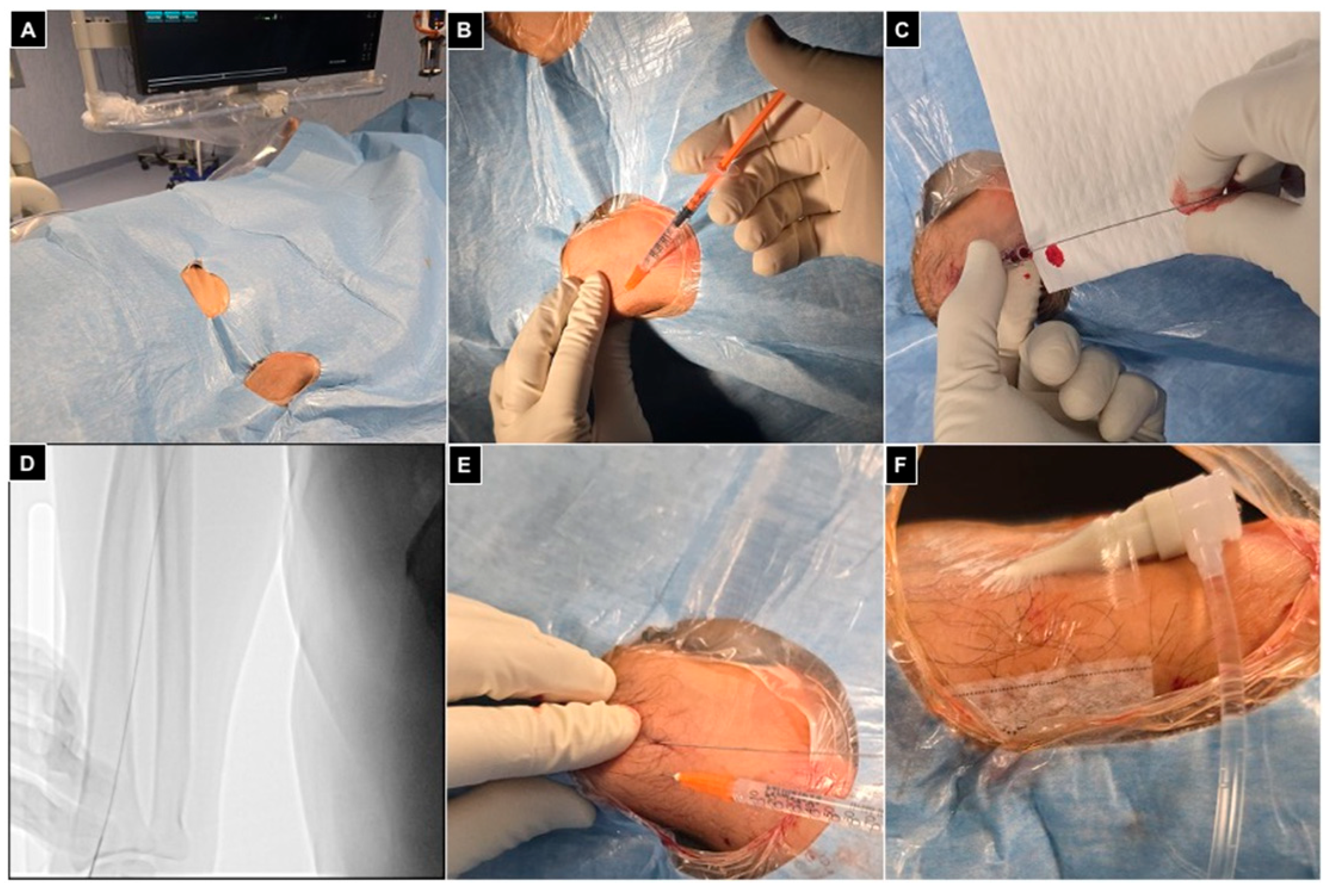 Diagnostics 15 02796 g004 Diagnostics 15 02796 g004