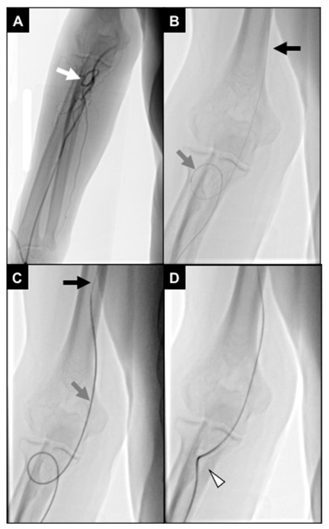 Diagnostics 15 02796 g007 Diagnostics 15 02796 g007