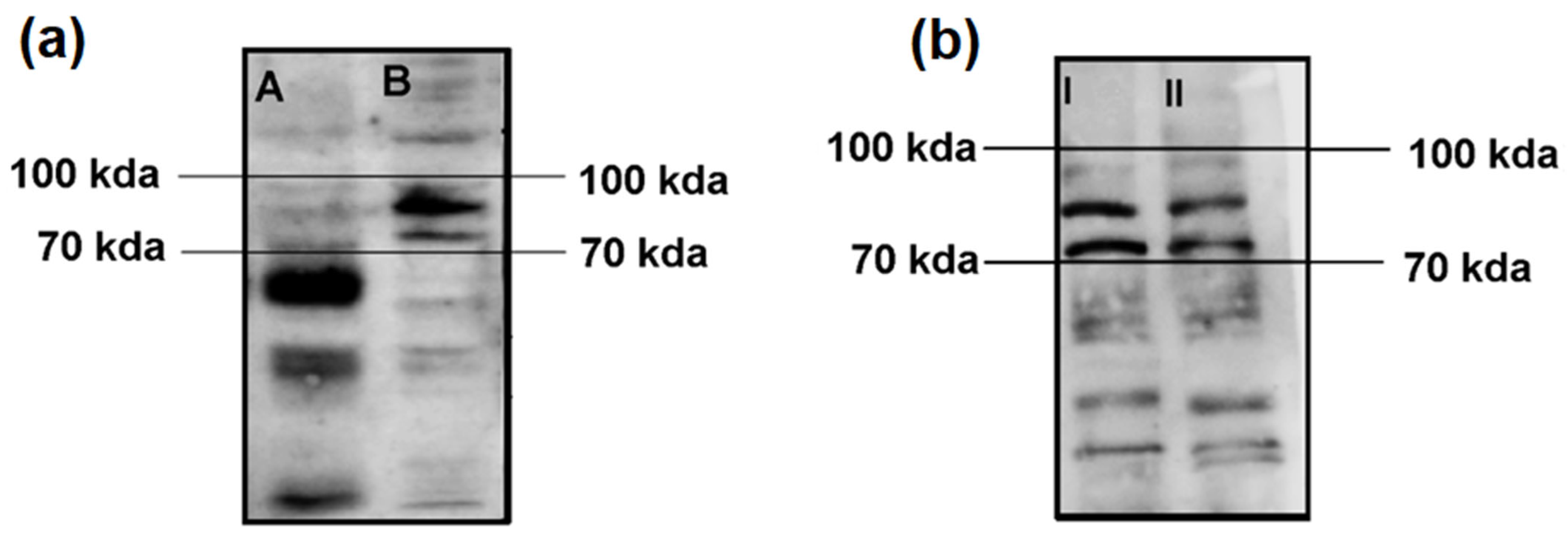 Diagnostics 15 02797 g001 Diagnostics 15 02797 g001