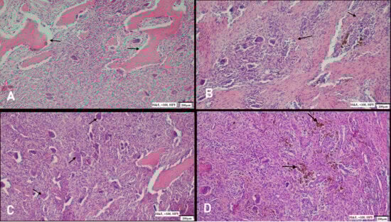Diagnostics 15 02798 g004