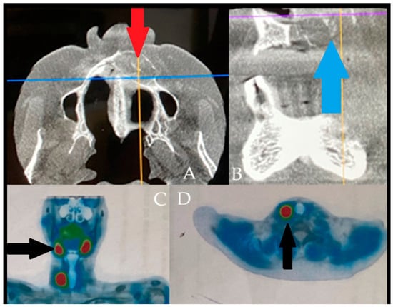 Diagnostics 15 02798 g006