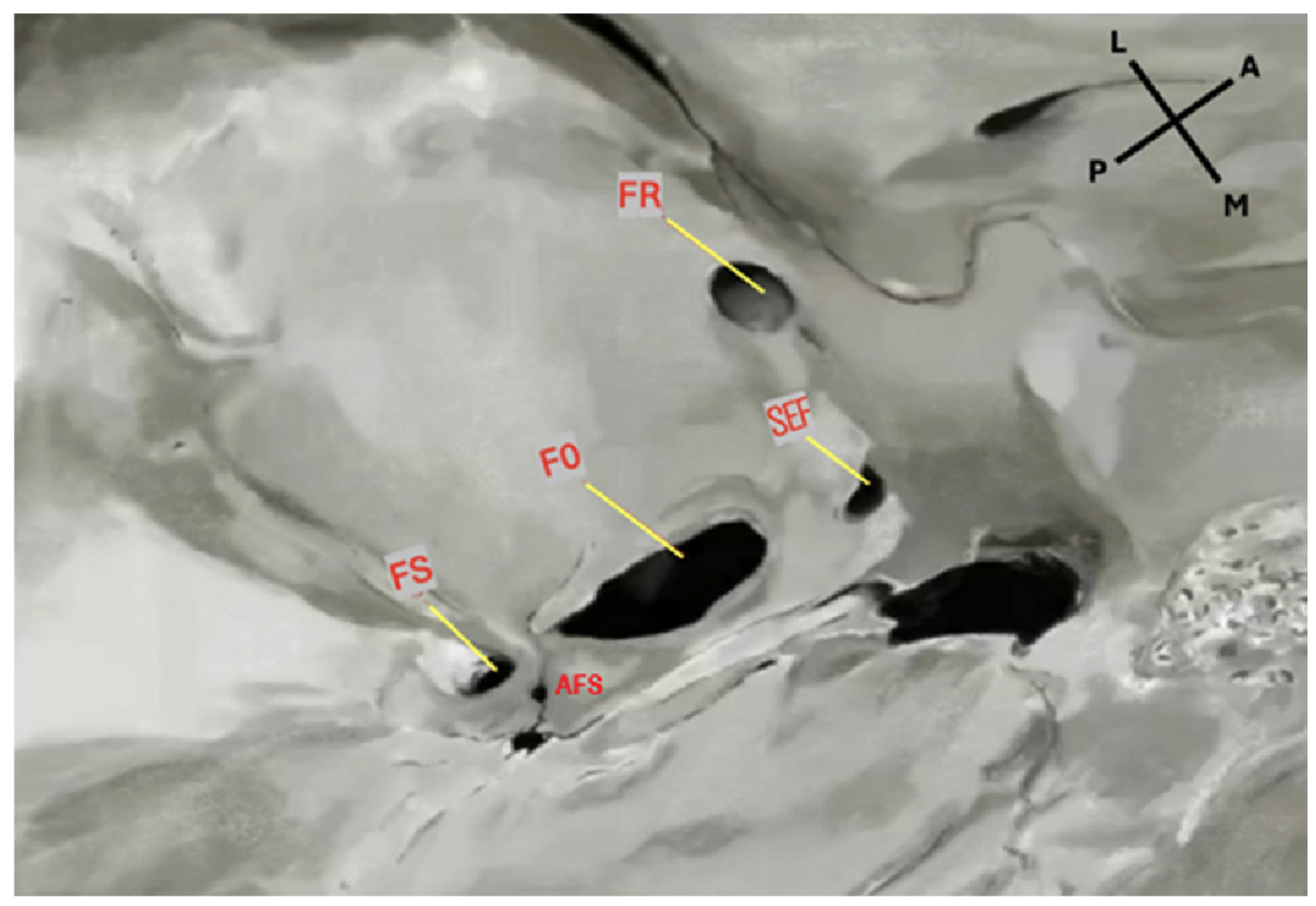 Diagnostics 15 02800 g001